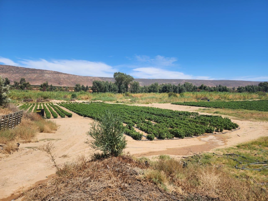 0 Bedroom Property for Sale in Klawer Western Cape